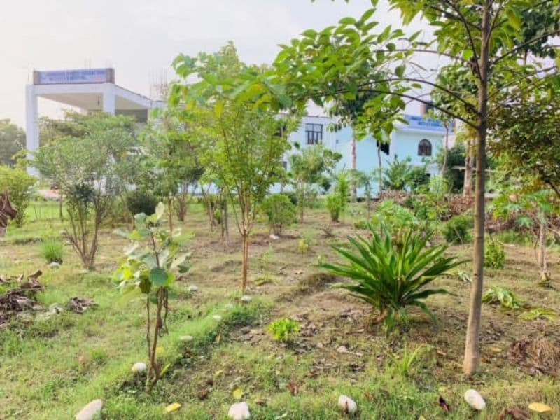 Dronacharya Ayurvedic College Saharanpur Infrastructure photo 8